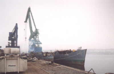 Fr�hjahr 1996, es sind nur noch die R�mpfe zusehen